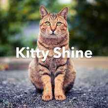 Load image into Gallery viewer, ORMUS Kitty Shine