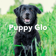 Load image into Gallery viewer, ORMUS Puppy Glo