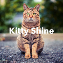 Load image into Gallery viewer, ORMUS Kitty Shine
