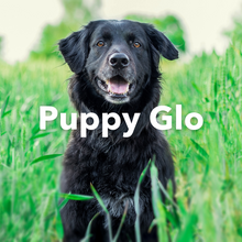 Load image into Gallery viewer, ORMUS Puppy Glo
